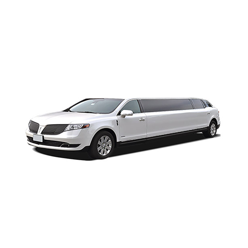 10 Passenger Limo
